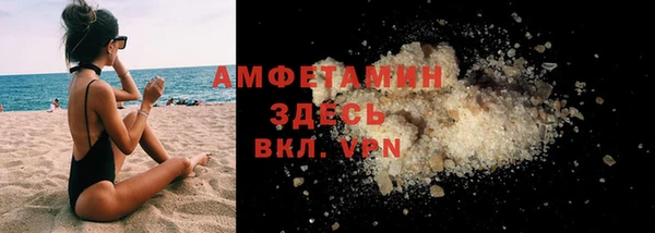 твердый Арсеньев