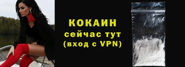 твердый Арсеньев