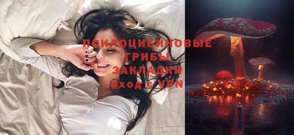твердый Арсеньев
